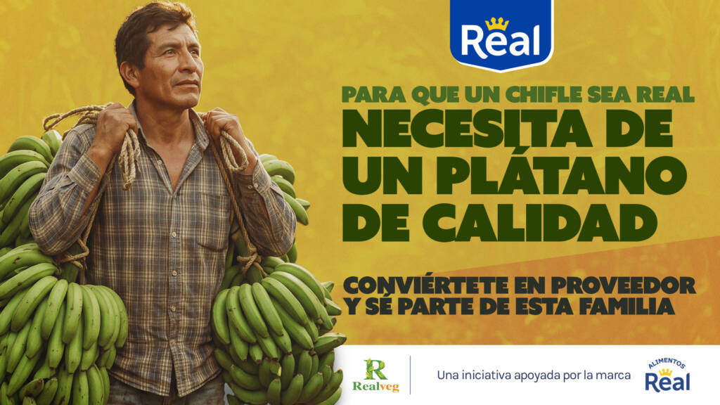 Proveedores Plátano