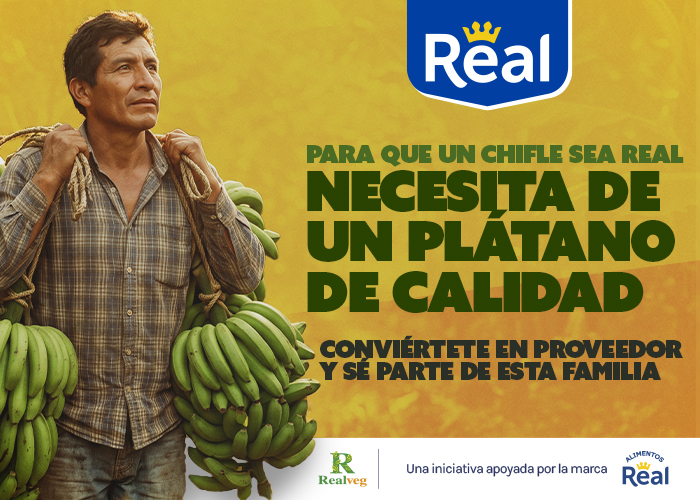 Proveedores Plátano